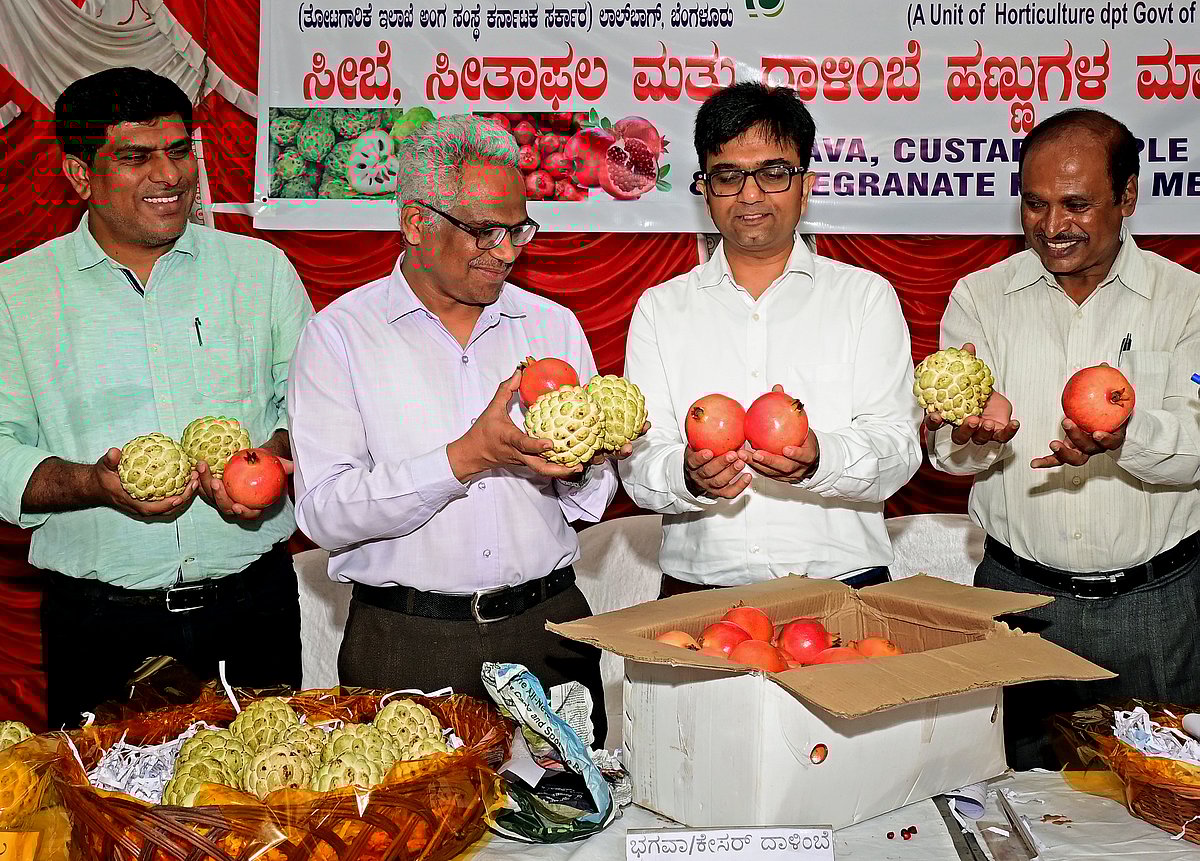 ಹಾಪ್‌ಕಾಮ್ಸ್‌ನಲ್ಲಿ ಇಂದಿನಿಂದ ‘ಹಣ್ಣುಗಳ ಮೇಳ’
