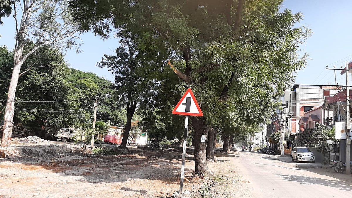 ರಾಯಚೂರು | ವ್ಯಾಪಾರಕ್ಕೆ ಅಡಚಣೆ ನೆಪ: ಮತ್ತೆ 36 ಬೃಹತ್ ಮರಗಳ ಮಾರಣಹೋಮ?