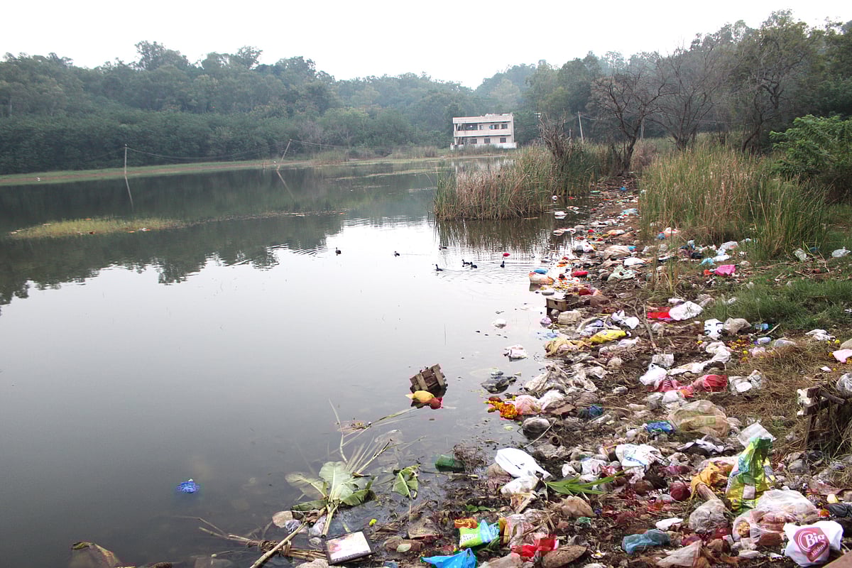 ಬೀದರ್‌: ಪಾಪನಾಶ ಕೆರೆಗೆ ಕೊಳೆಯ ಪಾಪ