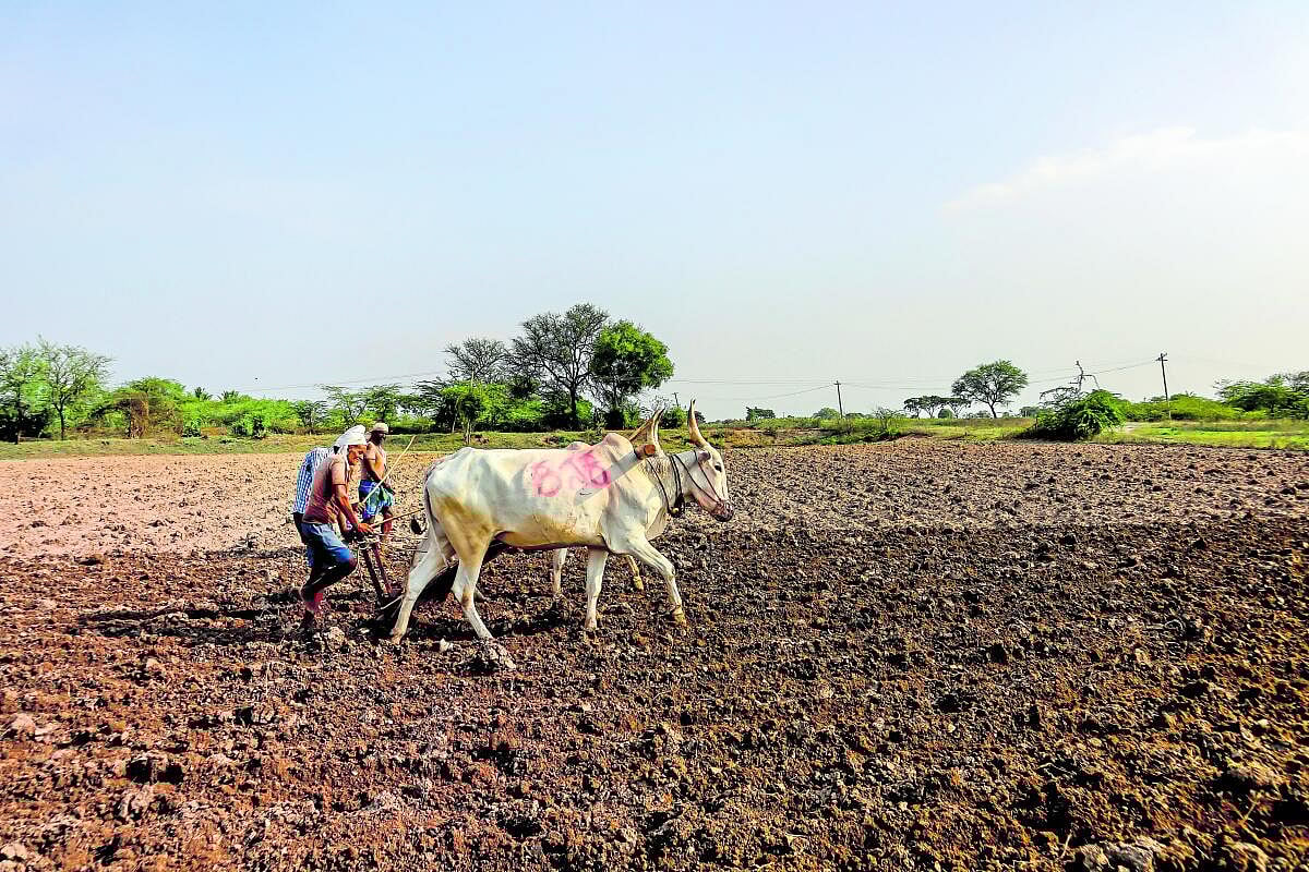 ಆಳ–ಅಗಲ: ವಕ್ಫ್‌ ಆಸ್ತಿಗಳ ಪಹಣಿ ಬದಲಾವಣೆ ಏನು, ಎತ್ತ?