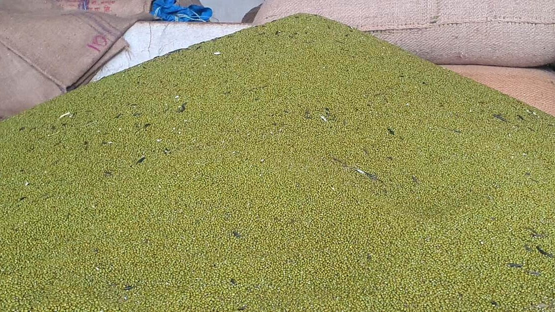 ಕರ್ನಾಟಕದಿಂದ ಹೆಚ್ಚುವರಿ 16,105 ಟನ್‌ ಹೆಸರುಕಾಳು ಖರೀದಿಗೆ ಕೇಂದ್ರ ಒಪ್ಪಿಗೆ