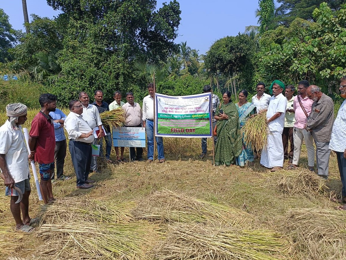 ರೈತರಿಗೆ ಸುಗಂಧಿತ, ಔಷಧೀಯ ತಳಿಯ ಭತ್ತ 