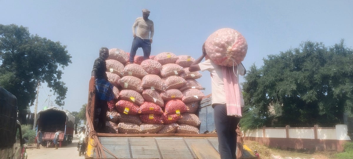 ಡಂಬಳ |ಪ್ರತಿ ಕ್ವಿಂಟಲ್‌ ಈರುಳ್ಳಿಗೆ ₹4,400: ಬೆಲೆ ಏರಿಕೆಯಿಂದ ರೈತರ ಹರ್ಷ