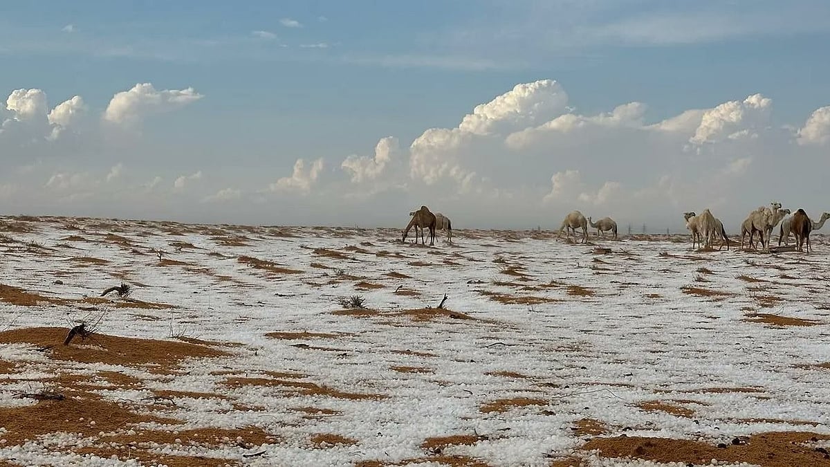 ಮರಳುಗಾಡು ಸೌದಿ ಅರೇಬಿಯಾದಲ್ಲಿ ಹಿಮಪಾತ, ಮಳೆ !
