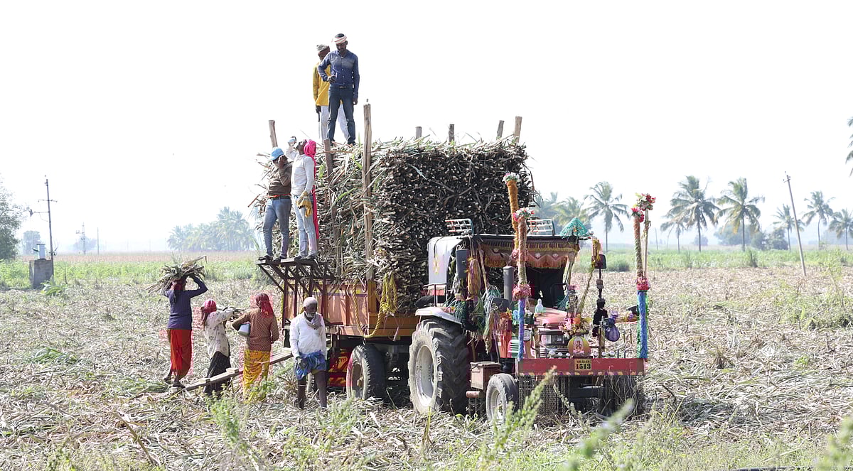 ಹಾವೇರಿ | ಕೈಗೆ ಬಂದ ಕಬ್ಬು: ಹೊತ್ತಿದ ಕಾರ್ಖಾನೆ ‘ಚಿಮಣಿ’
