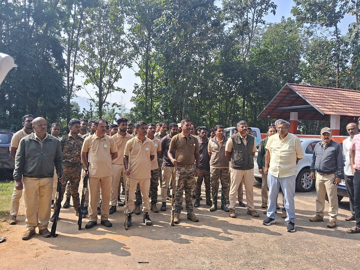 ವಿರಾಜಪೇಟೆ: ಹುಲಿ ವಿರುದ್ಧ ಕಾರ್ಯಾಚರಣೆಗಿಳಿದ 70 ಮಂದಿಯ ತಂಡ