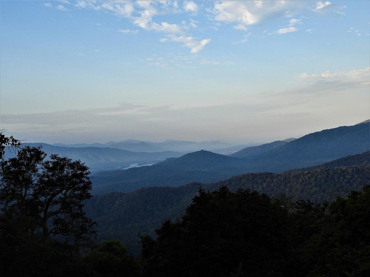 ಎನ್‌ಟಿಸಿಎ ಅಧಿಕಾರಿಗಳ ವಿರುದ್ಧ ಕ್ರಮಕ್ಕೆ ನಿರ್ದೇಶನ 