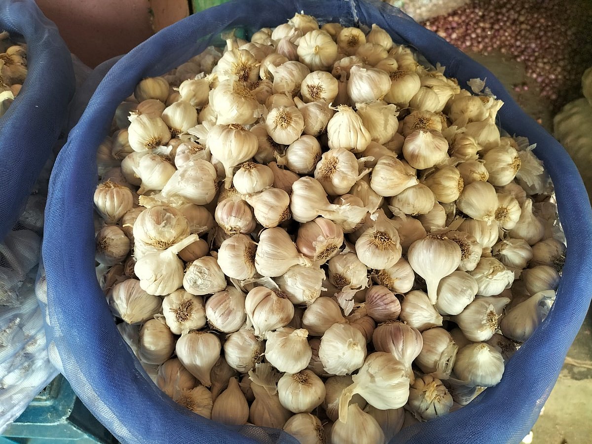 ಚಿಕ್ಕಬಳ್ಳಾಪುರ | ಇಳಿಯದ ಬೆಳ್ಳುಳ್ಳಿ ಬೆಲೆ