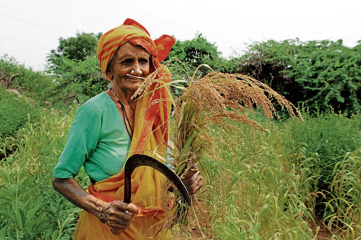ದೇವದಾಸಿ ತಾಯಂದಿರ ಪ್ರತಿನಿಧಿಯಂತಿರುವ ನಾಗಮ್ಮಜ್ಜಿ ಎಂಬ ಅಲಕ್ಷಿತೆಯ ಕೃಷಿ ಚರಿತ್ರೆ