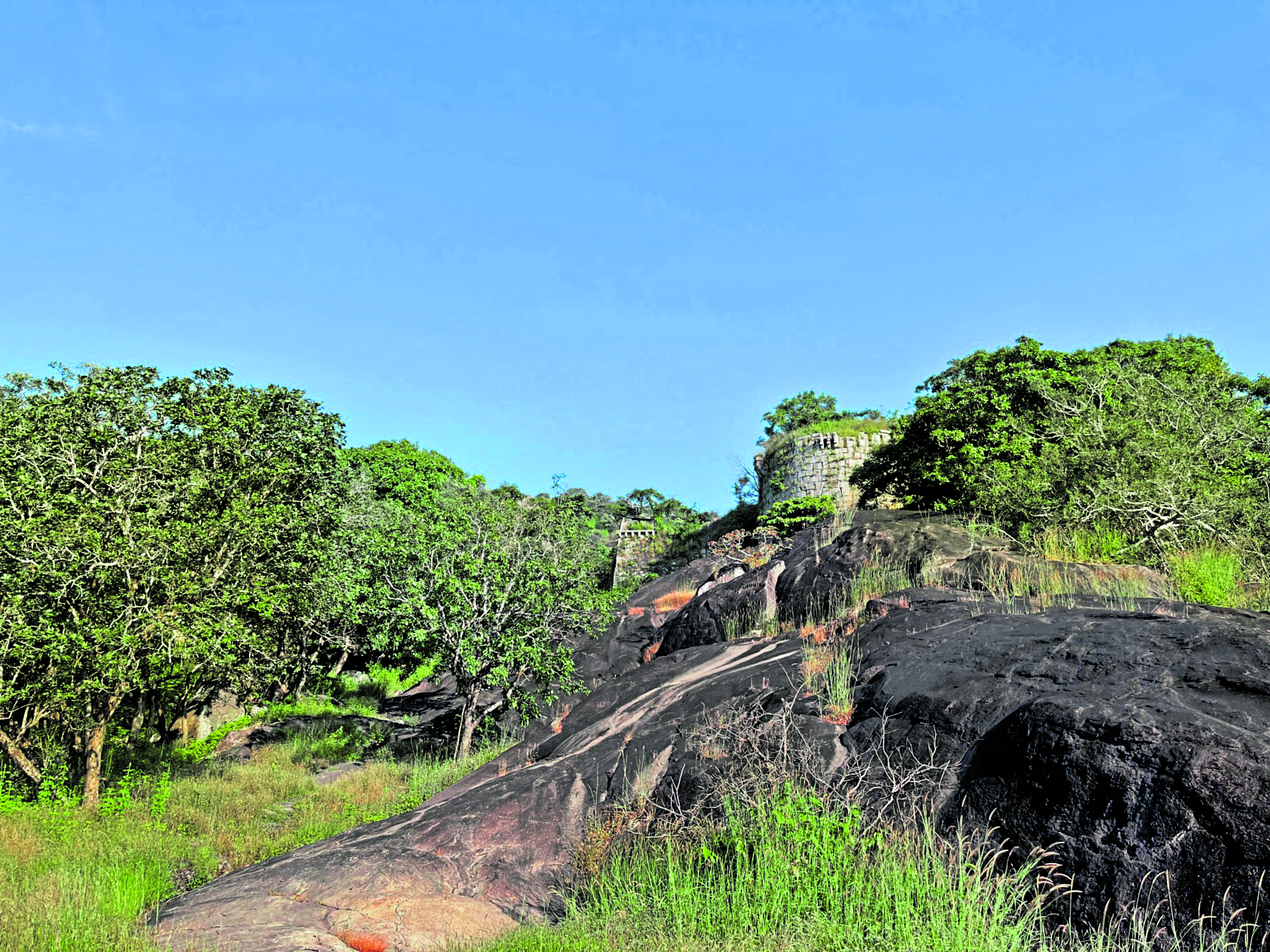 ಚಂದ್ರಗುತ್ತಿ ಕೋಟೆ 