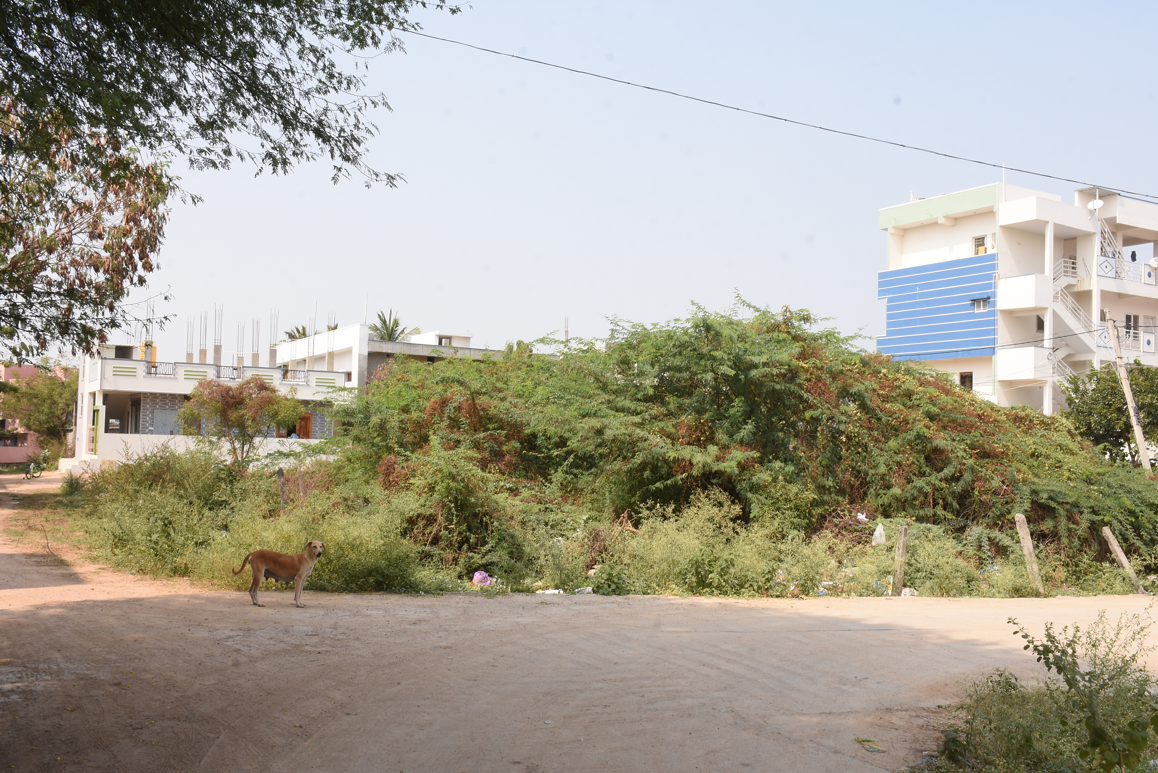 ಯಾದಗಿರಿ | ಸ್ಥಳೀಯ ಸಂಸ್ಥೆಗಳಲ್ಲಿ ಮಾರ್ಗಸೂಚಿ ನಾಮಫಲಕಗಳ ಕೊರತೆ