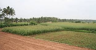 ‘ಕೃಷಿಯೇತರ ಅಭಿವೃದ್ಧಿಯಾಗದ ಜಮೀನು’ ನೋಂದಣಿಗೆ ಅಸ್ತು