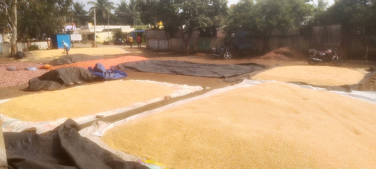 ಡಂಬಳ | ಅಧಿಕಾರಿಗಳ ನಿರ್ಲಕ್ಷ್ಯ: ತಾತ್ಕಾಲಿಕ ಕಣವಾದ ಬಸ್ ನಿಲ್ದಾಣ 