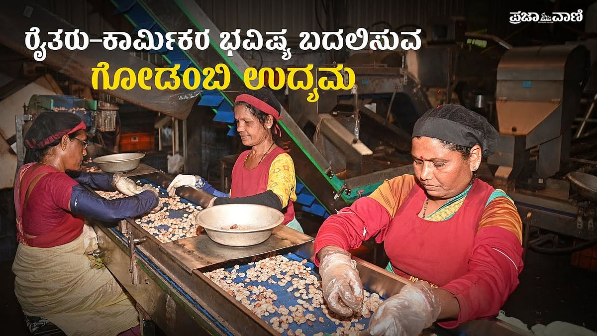 Video | ರೈತರು–ಕಾರ್ಮಿಕರ ಭವಿಷ್ಯ ಬದಲಿಸುವ ಗೋಡಂಬಿ ಉದ್ಯಮ 