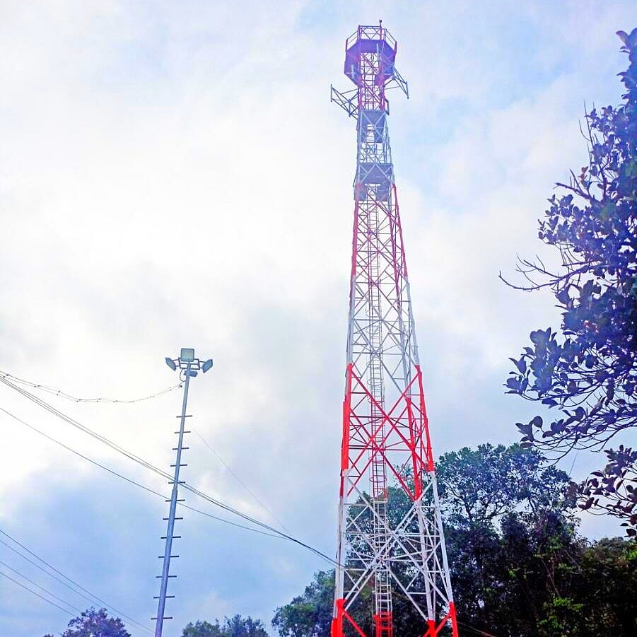 ಹಲೋ.. ಹಲೋ ಕೇಳ್ತಾ ಇದ್ಯಾ..! ಮಲೆನಾಡಿನ ಗ್ರಾಮೀಣ ಭಾಗದಲ್ಲಿ ನೆಟ್‌ವರ್ಕ್ ಸಮಸ್ಯೆ