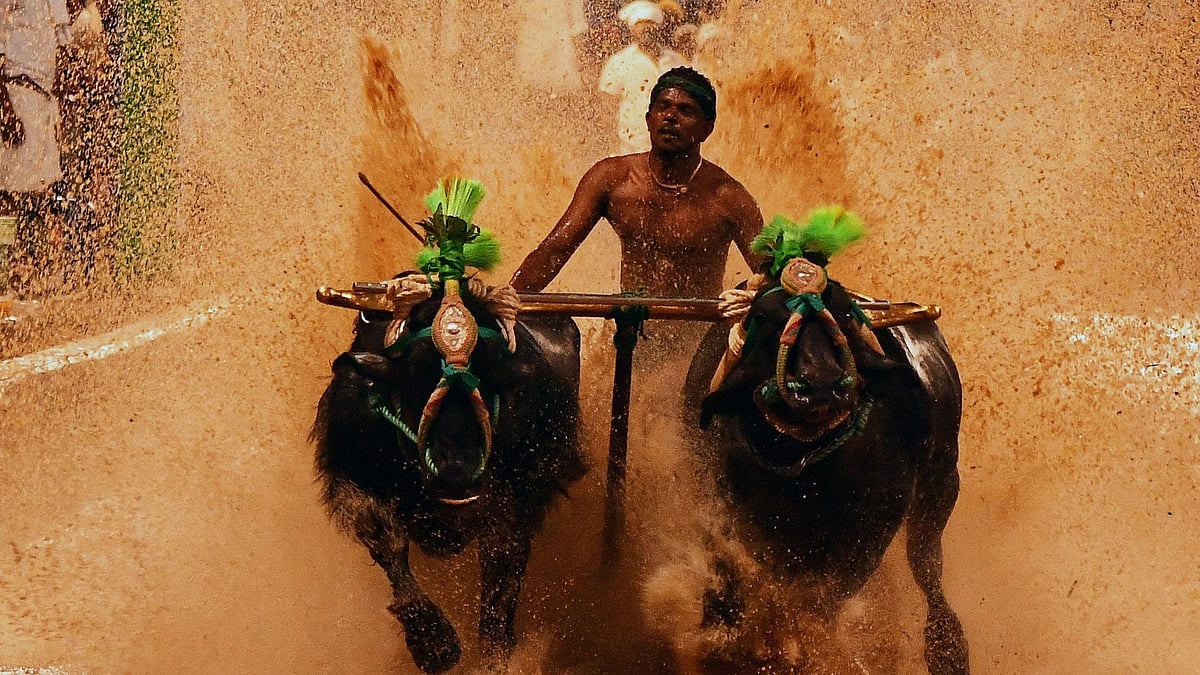 ಹೊಸ ಪ್ರವಾಸೋದ್ಯಮ ನೀತಿಗೆ ಸಂಪುಟ ಅಸ್ತು: ಕರಾವಳಿ ಪ್ರವಾಸೋದ್ಯಮಕ್ಕೆ ಹೊಸ ಹುರುಪು?