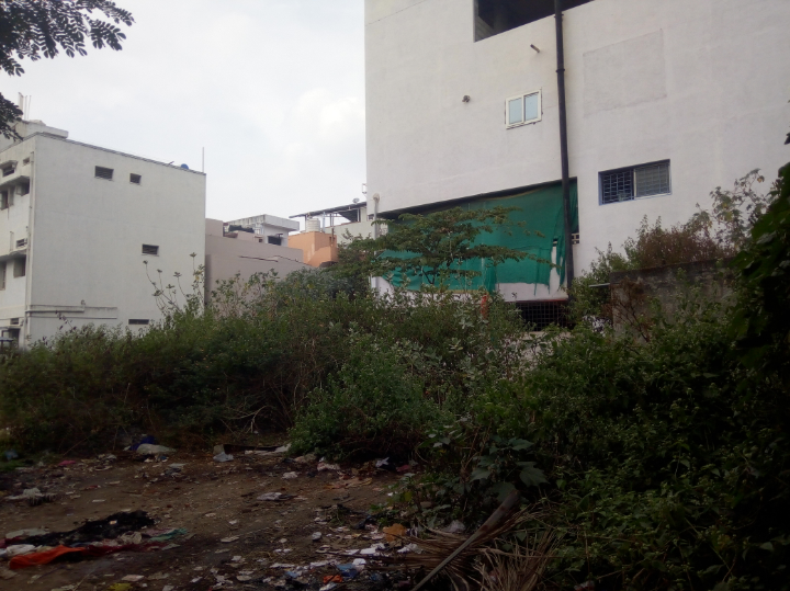 ನಗರದ ಖಾಲಿ ನಿವೇಶನದಲ್ಲಿ ಬೆಳೆದು ನಿಂತಿರುವ ಗಿಡ-ಪೊದೆಗಳು