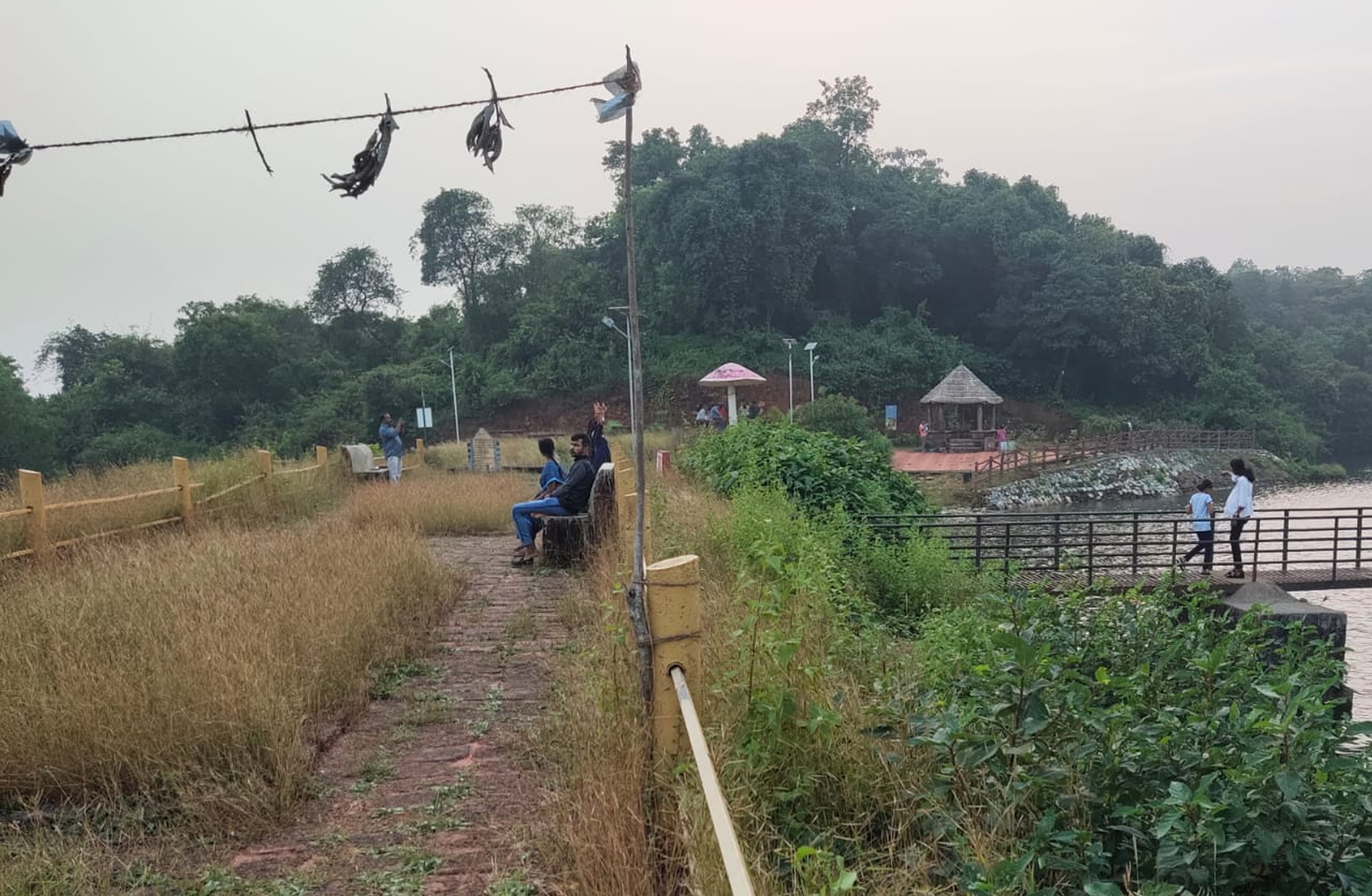 ಕಾರವಾರ ತಾಲ್ಲೂಕಿನ ಹೋಟೆಗಾಳಿಯ ಭೀಮಕೋಲ ಉದ್ಯಾನದಲ್ಲಿ ಹುಲ್ಲು ಗಿಡಗಂಟಿಗಳು ಬೆಳೆದುನಿಂತಿದ್ದು ಅಂದ ಕಳೆದುಕೊಂಡ ತಾಣವನ್ನೇ ಪ್ರವಾಸಿಗರು ವೀಕ್ಷಣೆಯಲ್ಲಿ ತೊಡಗಿದ್ದರು