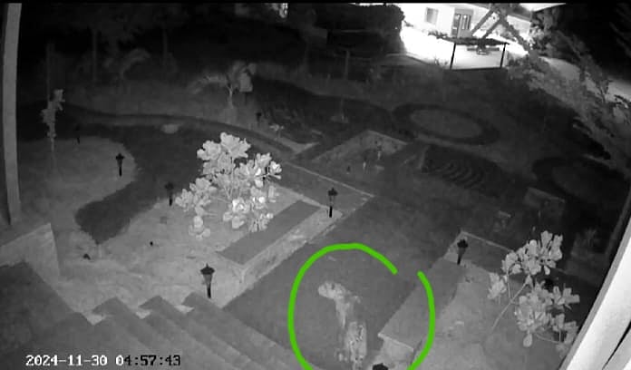 ದಾಬಸ್ ಪೇಟೆ: ರಾಮೇನಹಳ್ಳಿಯಲ್ಲೂ ಕಂಡ ಚಿರತೆ