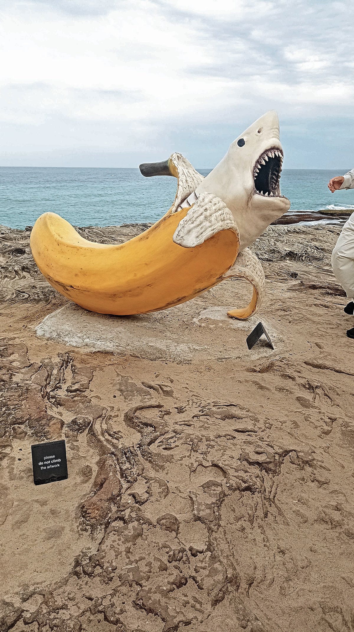 ಪ್ರವಾಸ | ಸಿಡ್ನಿ: ಕಡಲತೀರದ ಕಾಲ್ನಡಿಗೆ ಶಿಲ್ಪ ಕಲಾಕೃತಿಗಳ ಅಭಿವ್ಯಕ್ತಿ