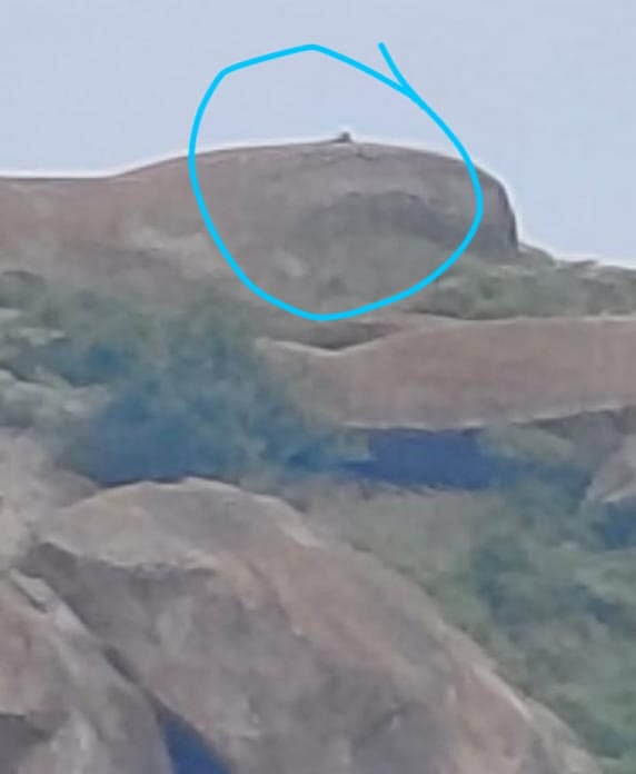 ದಾಬಸ್ ಪೇಟೆ: ಮತ್ತೆ‌ ಹೆಗ್ಗುಂದ ಬೆಟ್ಟದ ಮೇಲೆ ಚಿರತೆ ಪ್ರತ್ಯಕ್ಷ