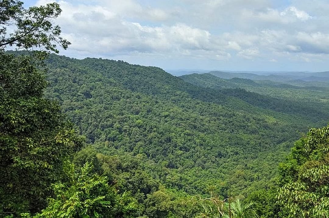 ಅರಣ್ಯಕ್ಕೆ ₹426 ಕೋಟಿ: ಕೆಎಸ್‌ಪಿಸಿಬಿ ಮಂಡಳಿ ತಡೆ