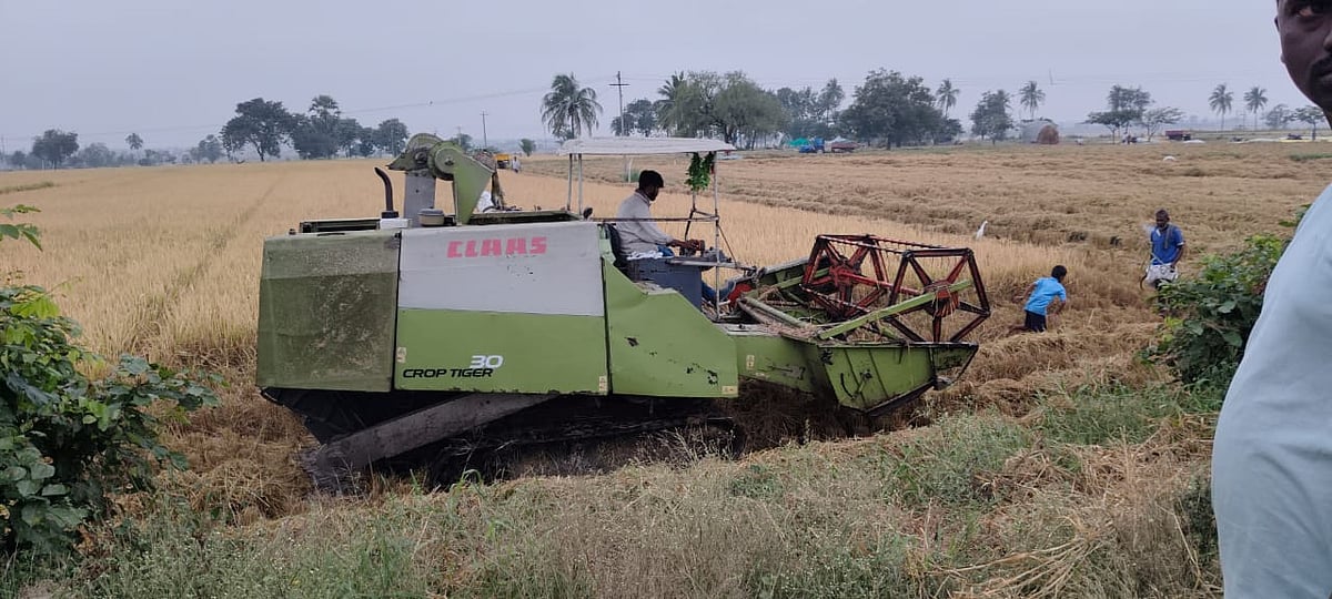 ತುರ್ವಿಹಾಳ: ಭತ್ತ ಕಟಾವು ಯಂತ್ರಕ್ಕೆ ಭಾರಿ ಬೇಡಿಕೆ
