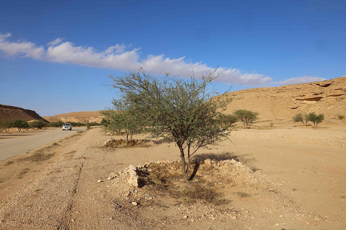 ಹವಾಮಾನ ಬದಲಾವಣೆ ಪ್ರಕರಣ: ಅಂತರರಾಷ್ಟ್ರೀಯ ನ್ಯಾಯಾಲಯದಲ್ಲಿ ವಿಚಾರಣೆ ಆರಂಭ