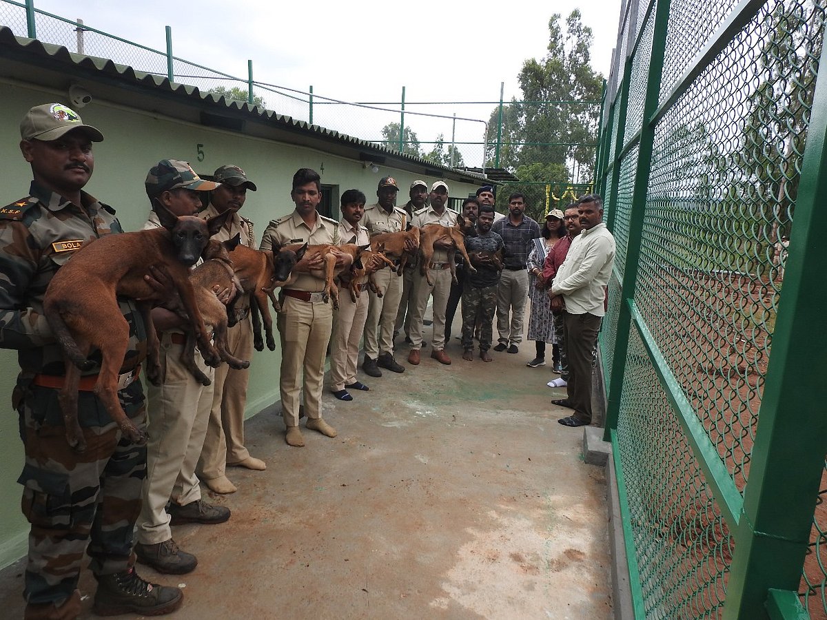 ಬಂಡೀಪುರ: ಕಳ್ಳಬೇಟೆ ತಡೆ, ಅರಣ್ಯ ಸಂಪತ್ತು ರಕ್ಷಣೆಗೆ ಡಾಗ್ ಸ್ಕ್ವಾಡ್‌