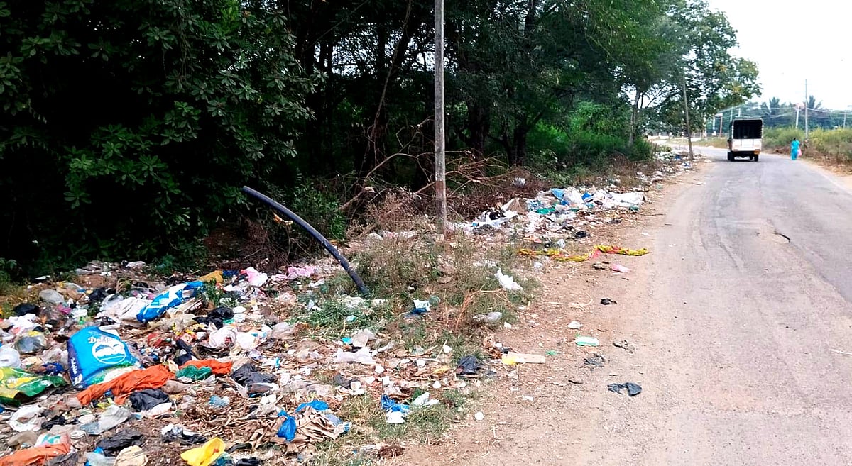 ಹೊಳಲ್ಕೆರೆ: ಕಸ, ತ್ಯಾಜ್ಯದ ಗೂಡಾದ ಮಲ್ಲಾಡಿಹಳ್ಳಿ