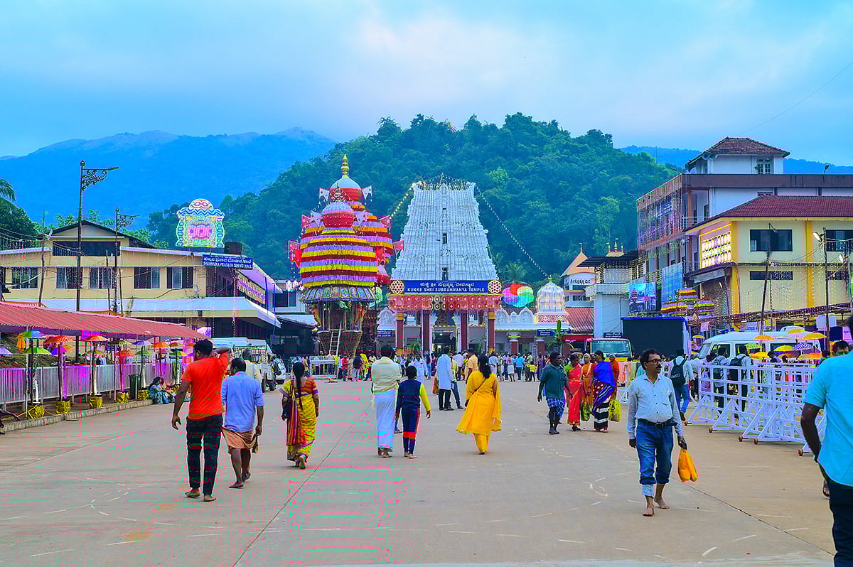 ಕುಕ್ಕೆ: ಚಂಪಾಷಷ್ಠಿ ಮಹಾರಥೋತ್ಸವ