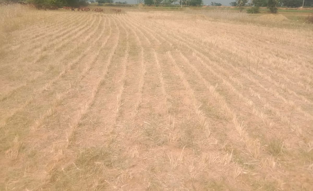 ಕೊಪ್ಪಳ: ದೇಣಿಗೆಯಿಂದ ಸಿಕ್ಕಿತು ಸರ್ಕಾರಿ ಶಾಲೆಗೆ ಜಾಗ