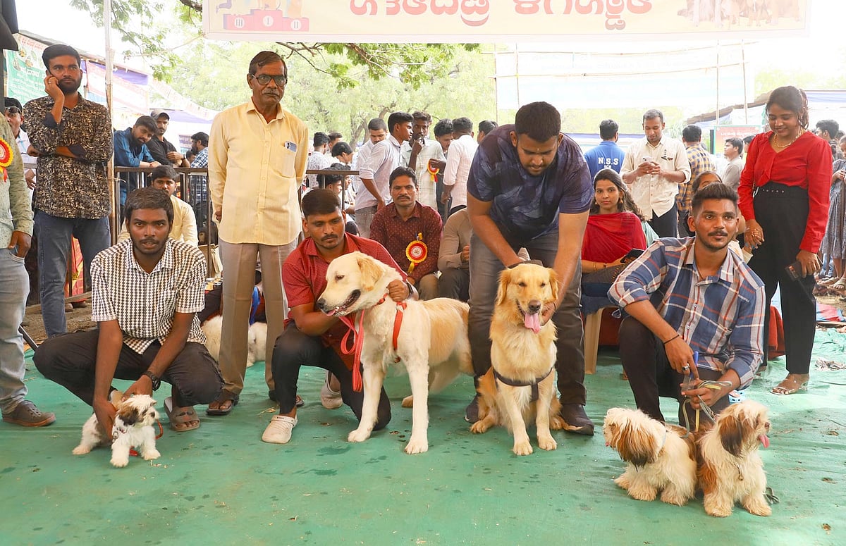 ‘ಗ್ರೇಡ್ ಡೆನ್ ’ ತಳಿಯ ಶ್ವಾನಕ್ಕೆ ಚಾಂಪಿಯನ್ ಪಟ್ಟ