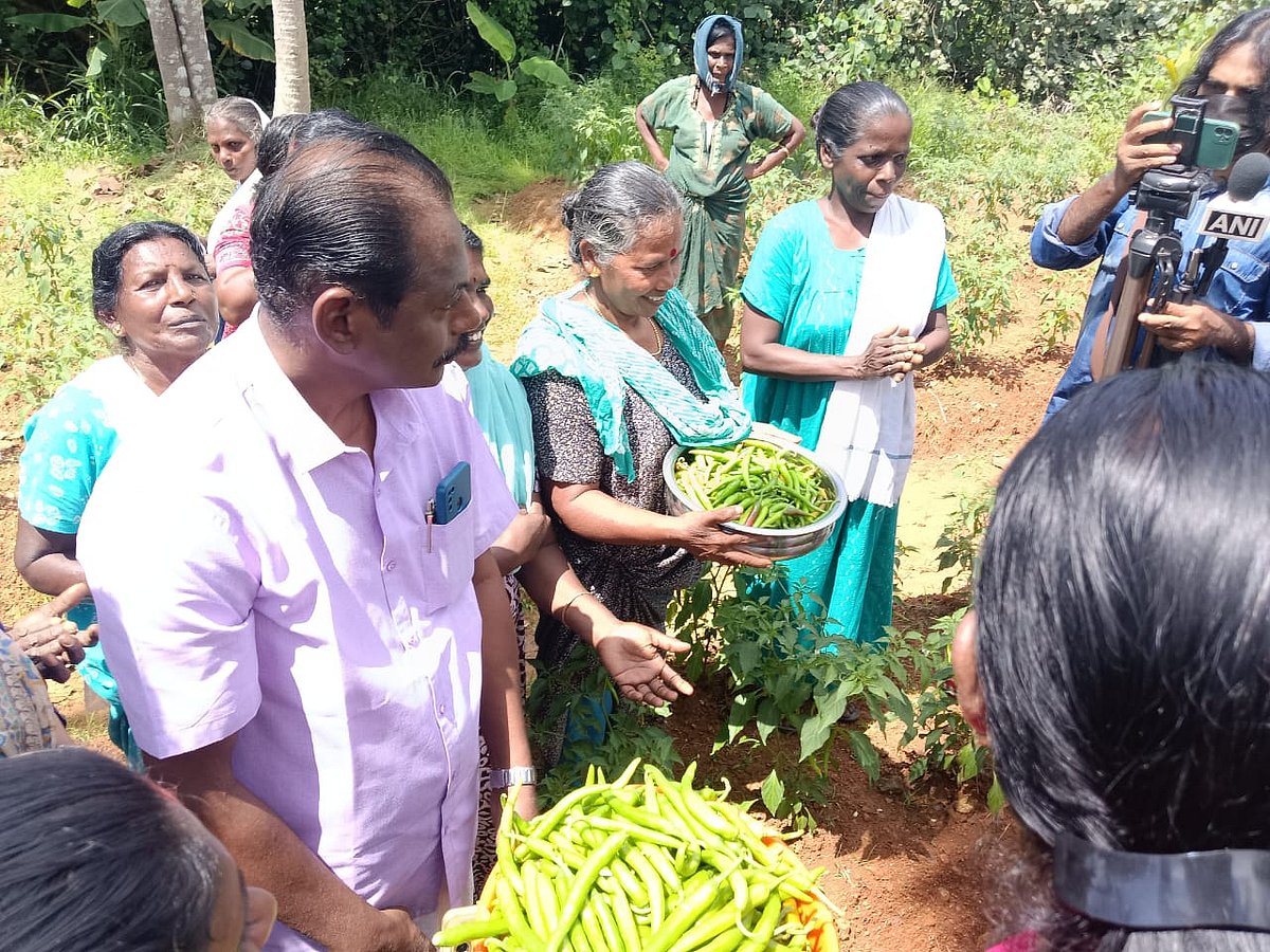 ಕೇರಳದಲ್ಲಿದೆ ‘ಮೆಣಸಿನಕಾಯಿ ಗ್ರಾಮ’