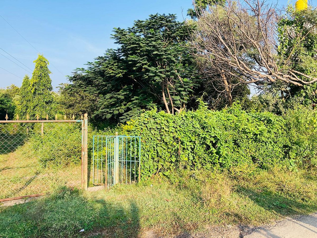 ಮಧುಗಿರಿ | ನಿರ್ವಹಣೆ ಕೊರತೆ: ಸೊರಗಿದ ಉದ್ಯಾನ