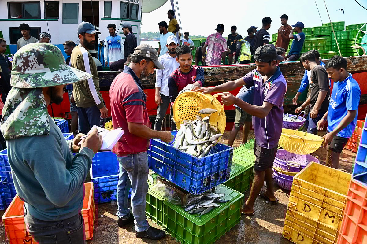 ಮಂಗಳೂರು | ಮೀನು ಶಿಕಾರಿಯ ಗೊಂದಲ: ಮುಂದೇನು?