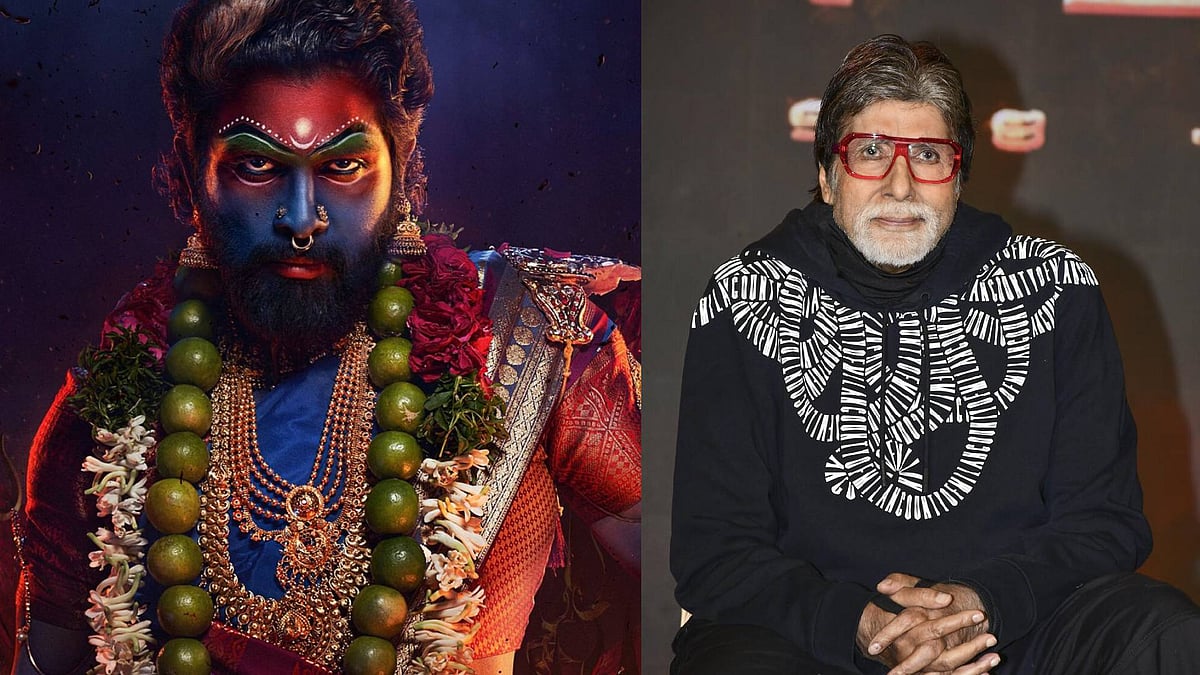 ನಾನು ಅಲ್ಲು ಅರ್ಜುನ್‌ ಅಪ್ಪಟ ಅಭಿಮಾನಿ: ಬಾಲಿವುಡ್‌ ನಟ ಅಮಿತಾಬ್‌ ಬಚ್ಚನ್‌