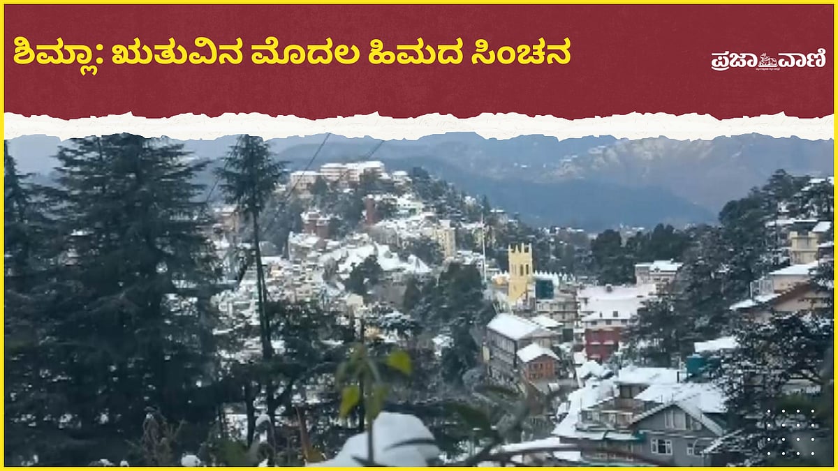 Video | ಶಿಮ್ಲಾ: ಋತುವಿನ ಮೊದಲ ಹಿಮದ ಸಿಂಚನ