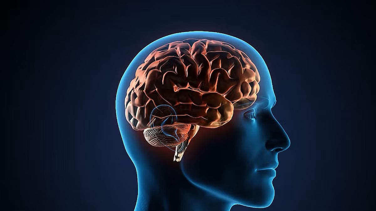 ಕ್ಷೇಮ–ಕುಶಲ: ಮಿದುಳಿಗೆ ಕರುಳಿನ ಕರೆ