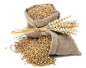 ಗೋಧಿ ದಾಸ್ತಾನಿಗೆ ಮಿತಿ ಹೇರಿದ ಕೇಂದ್ರ ಸರ್ಕಾರ