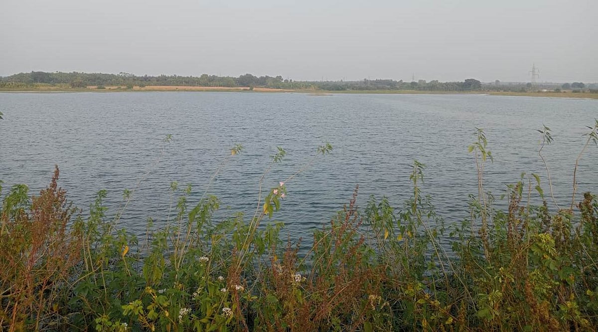 ಶಿರಾಳಕೊಪ್ಪ | ಮೀನು ಸಾಕಾಣಿಕೆಗೆ ಕೆರೆಗಳ ಹರಾಜು ವಿಳಂಬ: ಕೋಟ್ಯಾಂತರ ರೂಪಾಯಿ ನಷ್ಟ