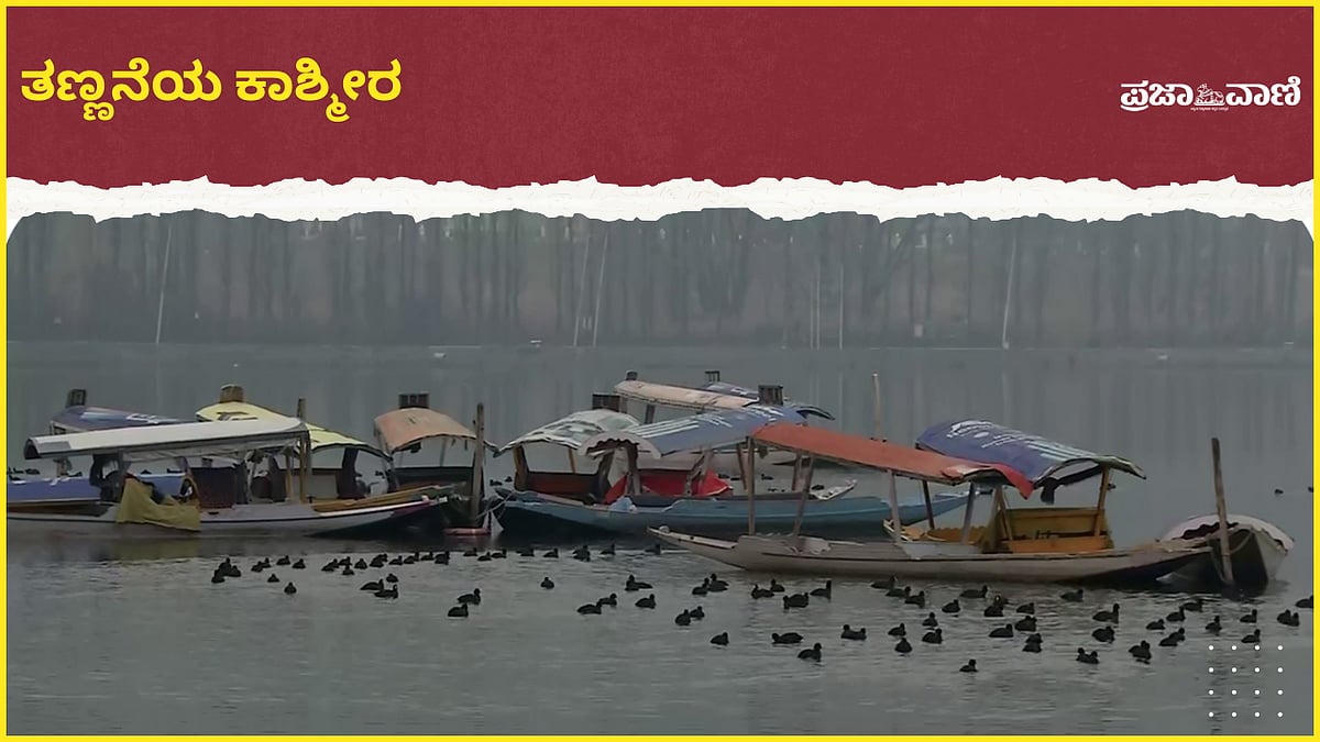 Video | ಕನಿಷ್ಠ ಉಷ್ಣಾಂಶ: ಚಳಿಗೆ ನಡುಗಿದ ದೆಹಲಿ