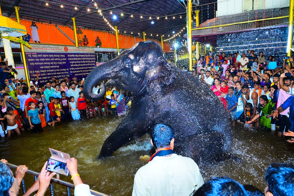 ಕುಕ್ಕೆ ಸುಬ್ರಹ್ಮಣ್ಯ: ನೀರಿನಲ್ಲಿ ಬಂಡಿ ಉತ್ಸವ
