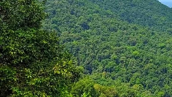 ಗೋವಾ–ತಮ್ನಾರ್ ಮಾರ್ಗ: ವರ್ಷದಲ್ಲೇ ರಾಜ್ಯದ ನಿಲುವು ಬದಲು