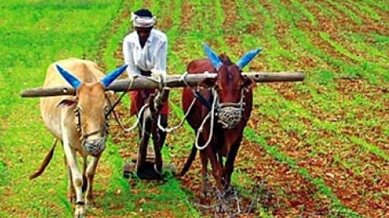 ಅಡಮಾನ ರಹಿತ ಕೃಷಿ ಸಾಲದ ಮಿತಿ ₹2 ಲಕ್ಷಕ್ಕೆ ಹೆಚ್ಚಿಸಿದ RBI; ಜ. 1ರಿಂದ ಜಾರಿ