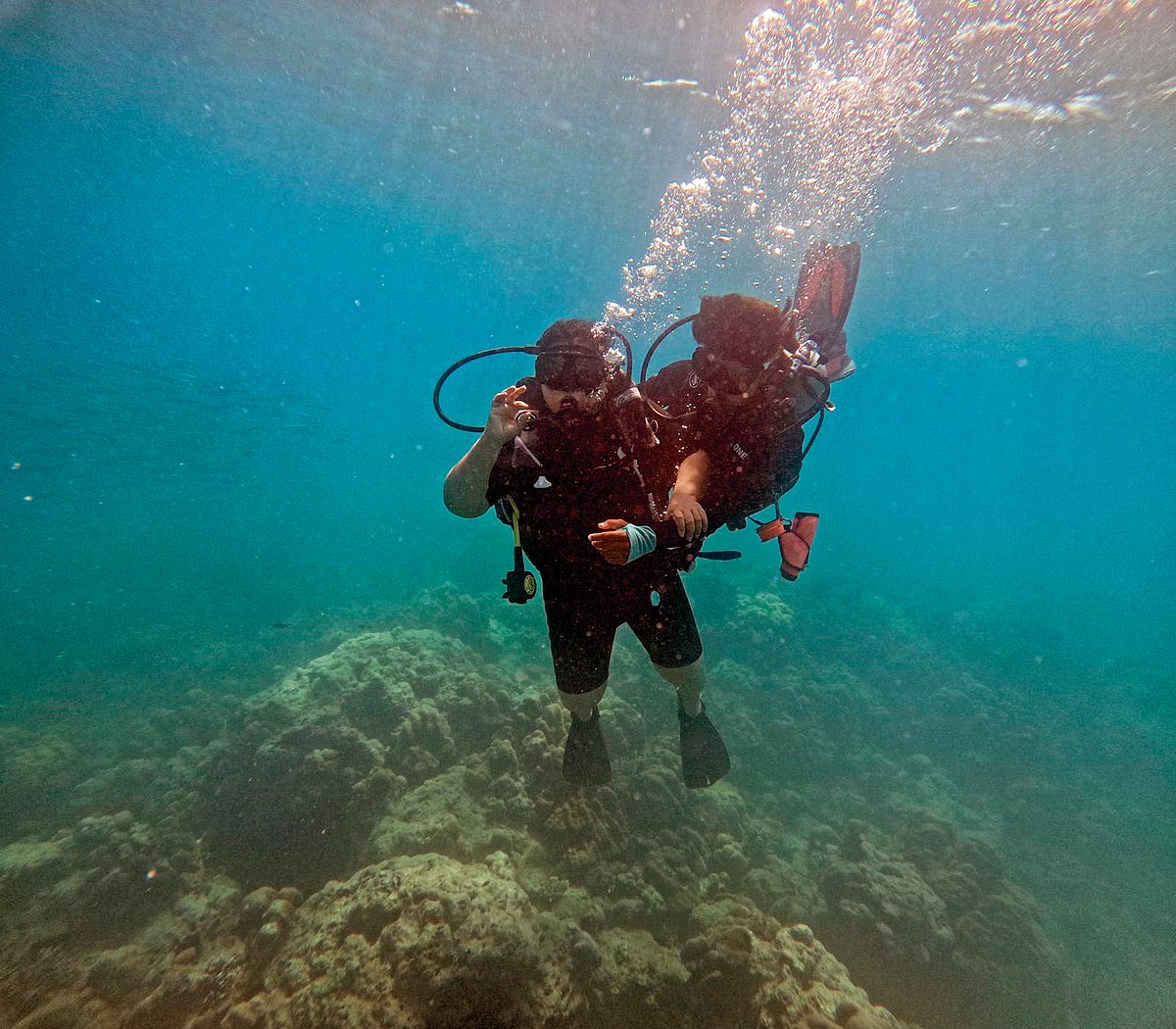 ಪ್ರವಾಸ: ಸಮುದ್ರ ತಳದ ವಿಸ್ಮಯ ಪ್ರಪಂಚ...