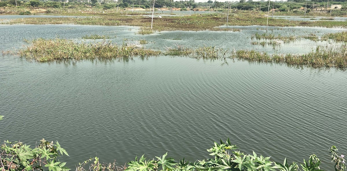 ಅಧಿಕಾರಿಗಳ, ಜನಪ್ರತಿನಿಧಿಗಳ ನಿರ್ಲಕ್ಷ್ಯ: ಕಲುಷಿತ ತಾಣವಾಗುತ್ತಿದೆ ಕೊರ್ಲಕುಂಟೆ