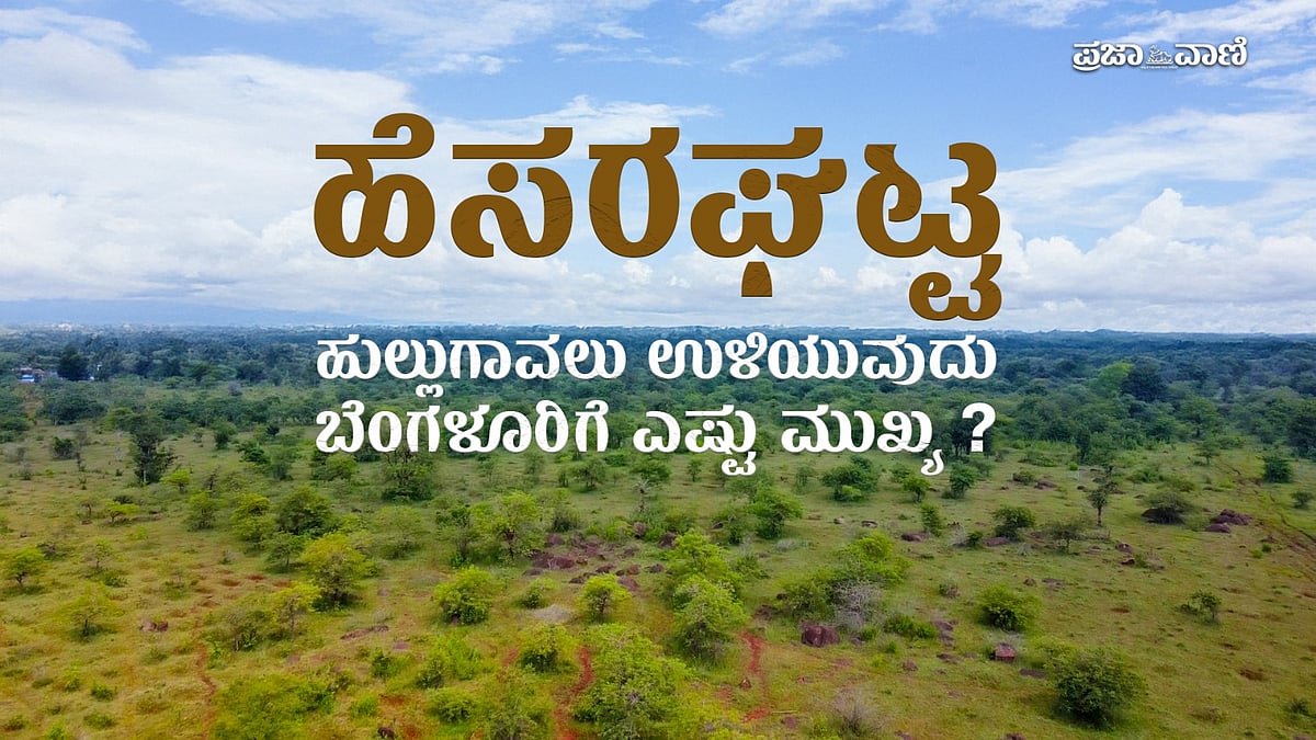 VIDEO | ಹೆಸರಘಟ್ಟ ಹುಲ್ಲುಗಾವಲು ಉಳಿಯುವುದು ಬೆಂಗಳೂರಿಗೆ ಎಷ್ಟು ಮುಖ್ಯ? 