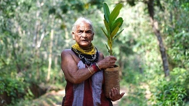 Tulsi Gowda Death: ಪದ್ಮಶ್ರೀ ಪುರಸ್ಕೃತೆ ತುಳಸಿ ಗೌಡ ನಿಧನ