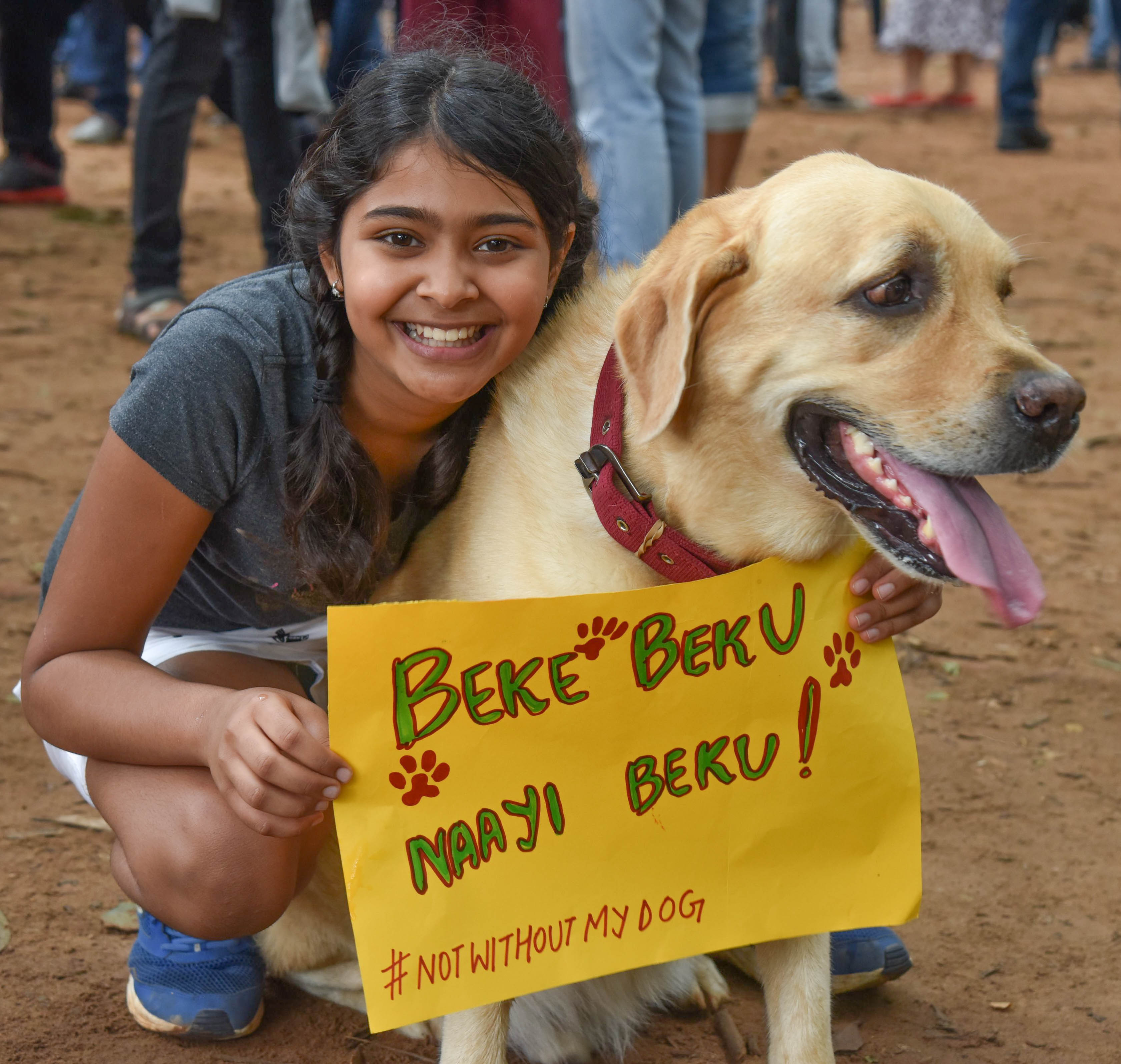 ಸಾಕು ನಾಯಿ ಬೇಕು ಎಂಬ ಆಗ್ರಹ (ಸಂಗ್ರಹ ಚಿತ್ರ)